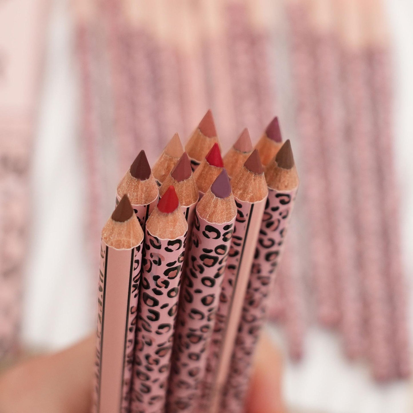 Full 12-Color Lip Liner Set
